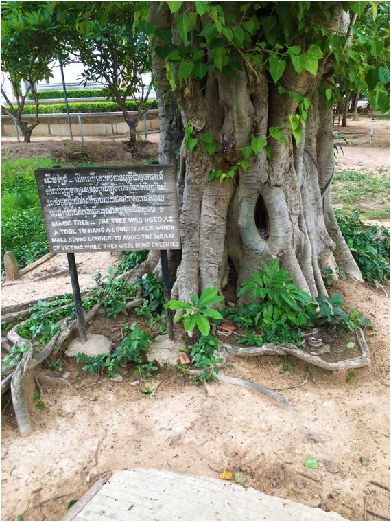 siem reap 1